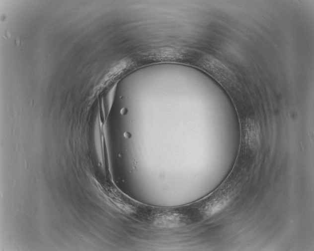 X0000060740206200511171105