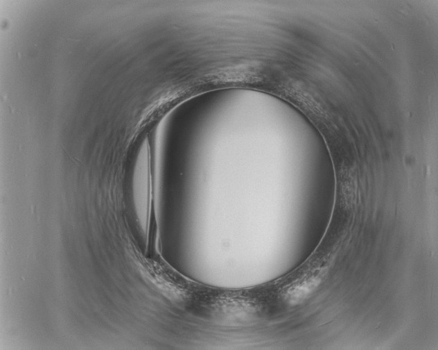 X0000060740207200511171105