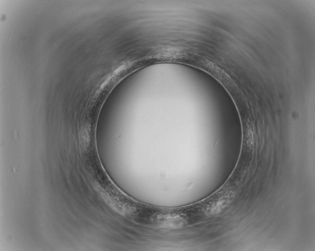 X0000060740208200511171105