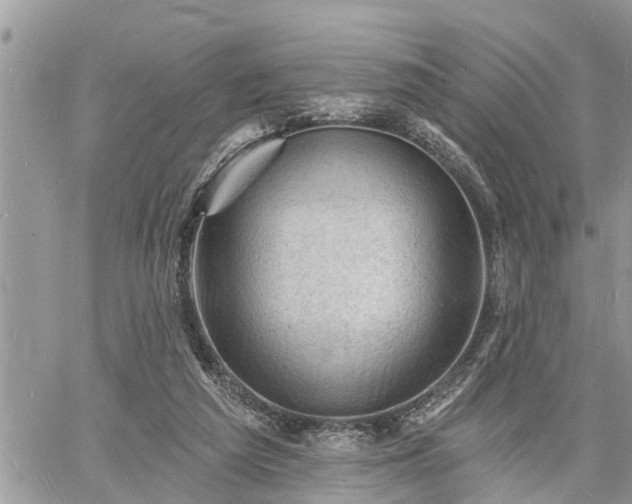 X0000060740209200511171105