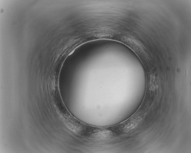 X0000060740210200511171105