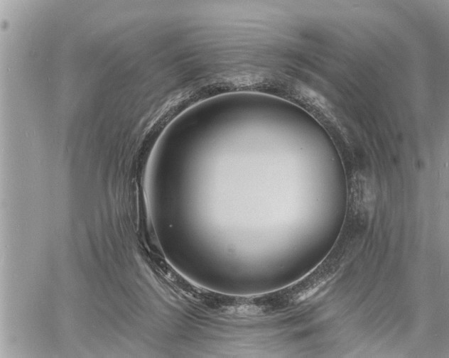 X0000060740212200511171105