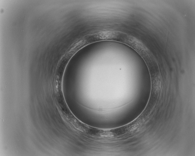 X0000060740214200511171105