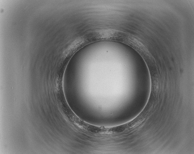 X0000060740216200511171105