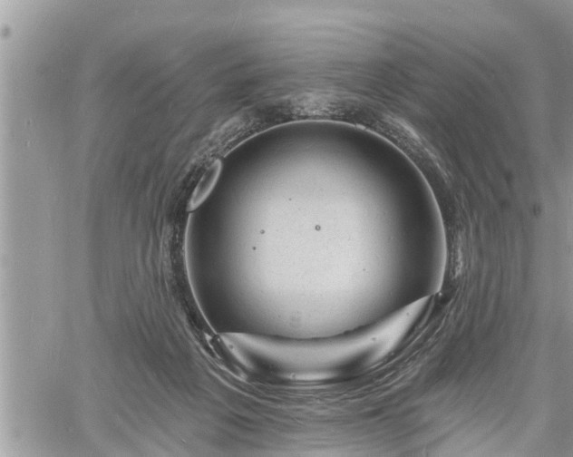 X0000060740217200511171105