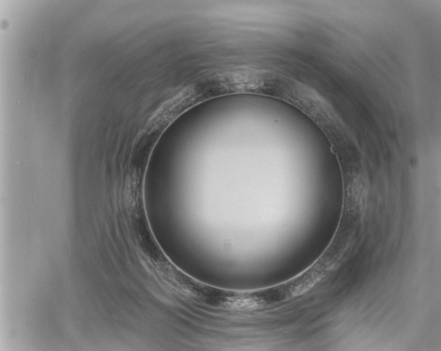 X0000060740218200511171105