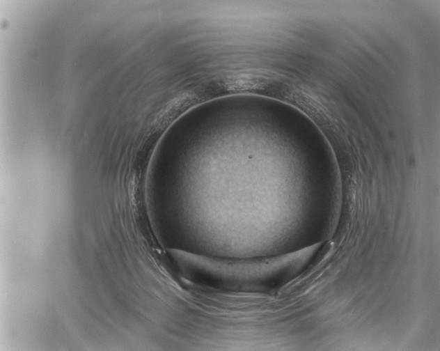 X0000060740219200511171105