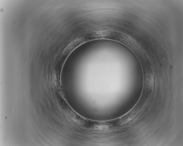 X0000060740220200511171105