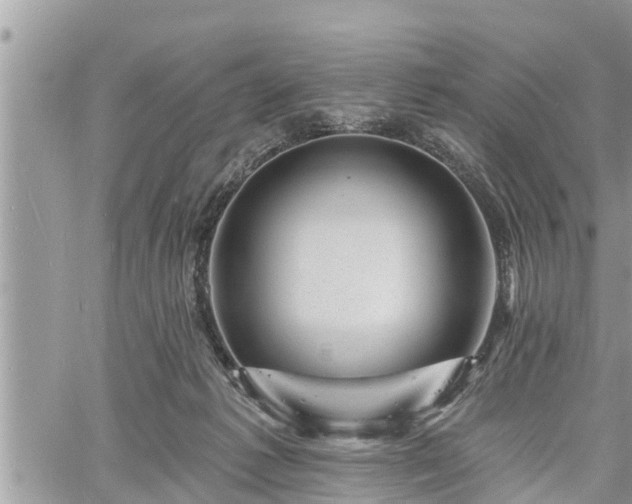 X0000060740221200511171105