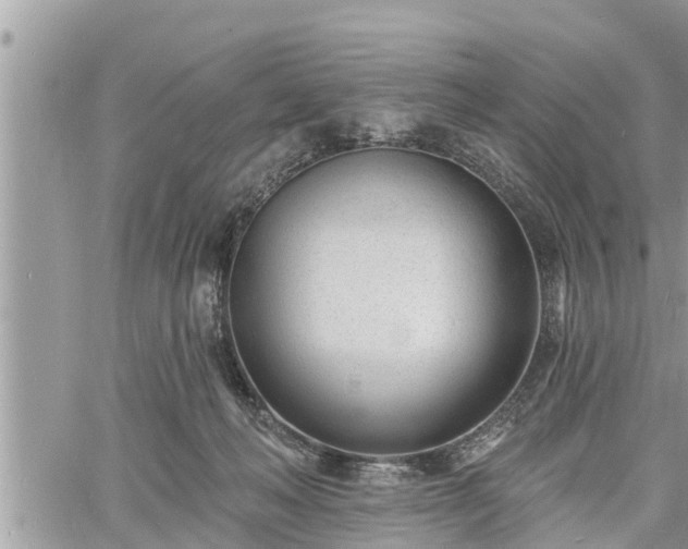 X0000060740222200511171105