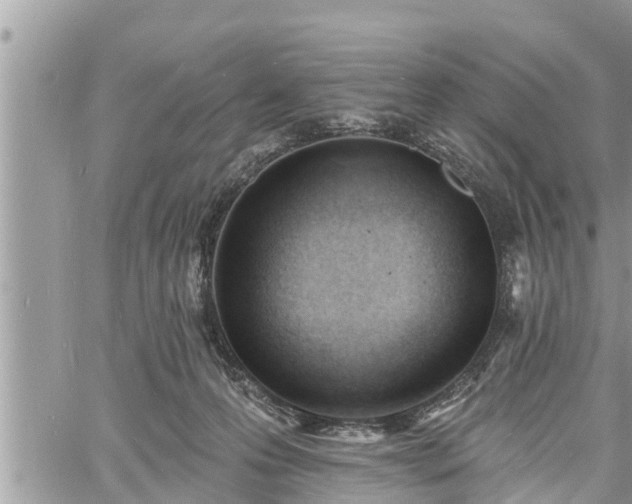 X0000060740223200511171105