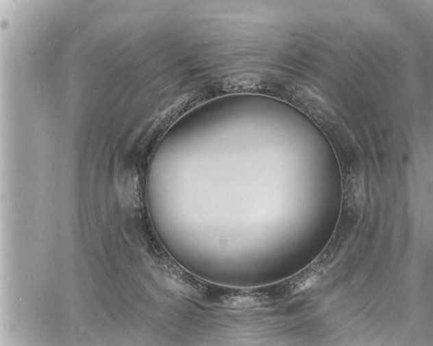 X0000060740224200511171105