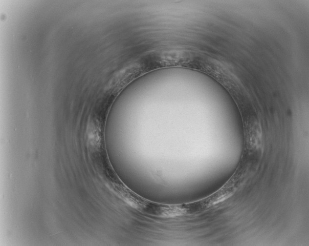 X0000060740226200511171105