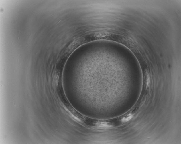 X0000060740227200511171105