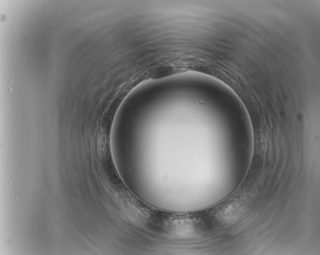 X0000060740228200511171105