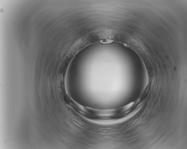 X0000060740229200511171105