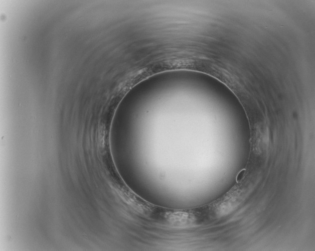 X0000060740230200511171105