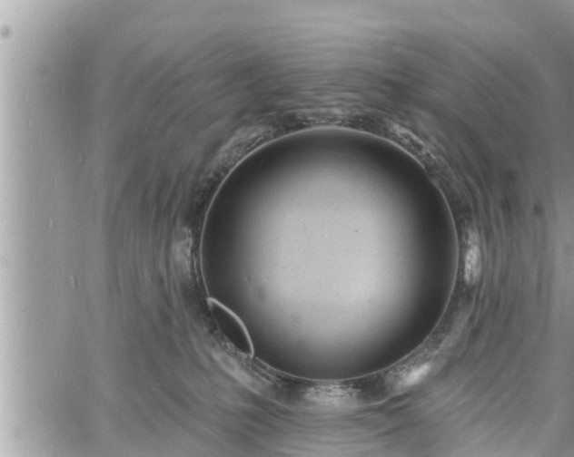 X0000060740231200511171105