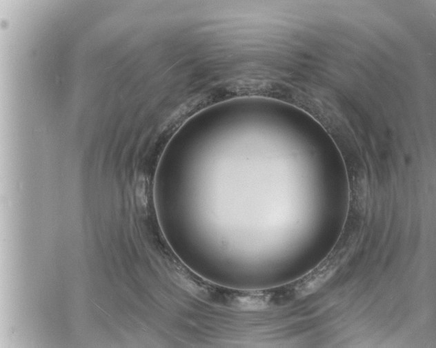 X0000060740232200511171105