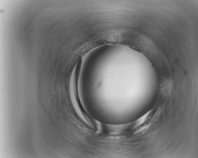 X0000060740233200511171105