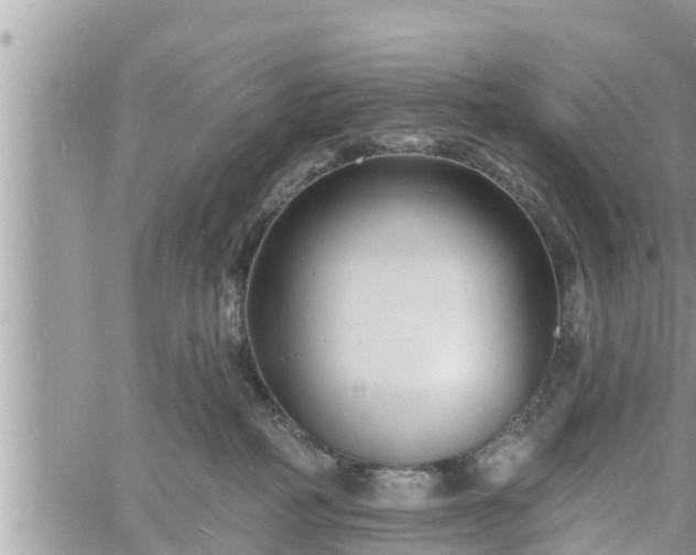 X0000060740234200511171105