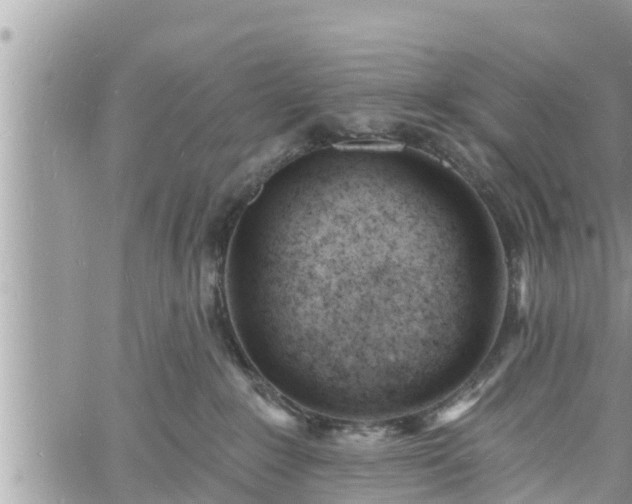 X0000060740235200511171105