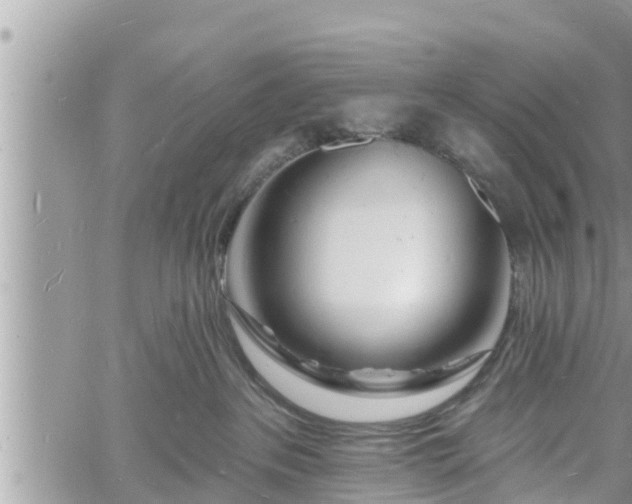 X0000060740237200511171105