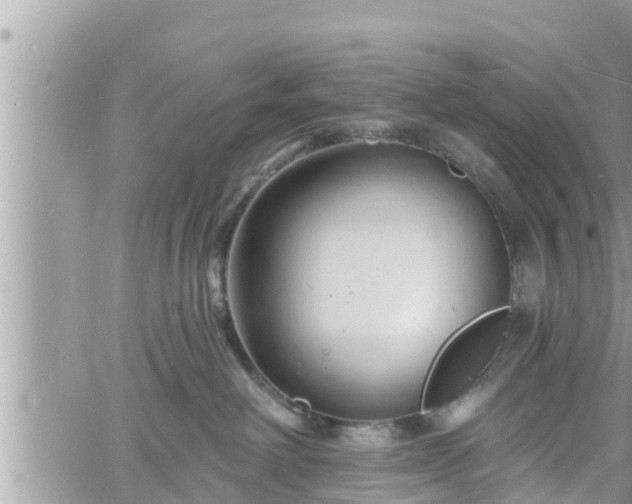 X0000060740238200511171105