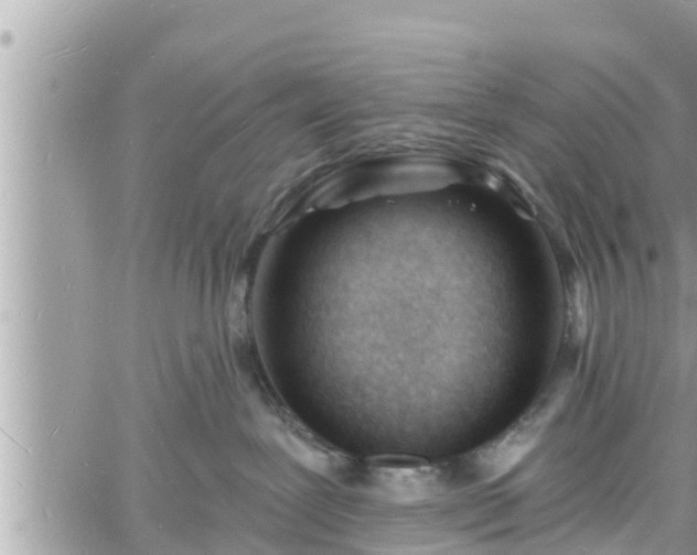 X0000060740239200511171105