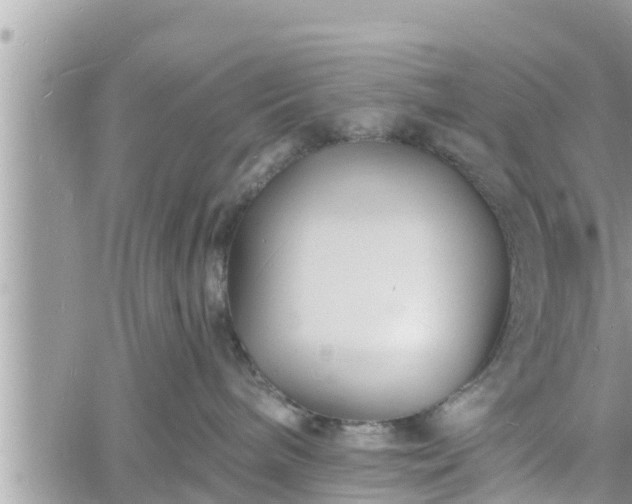 X0000060740240200511171105