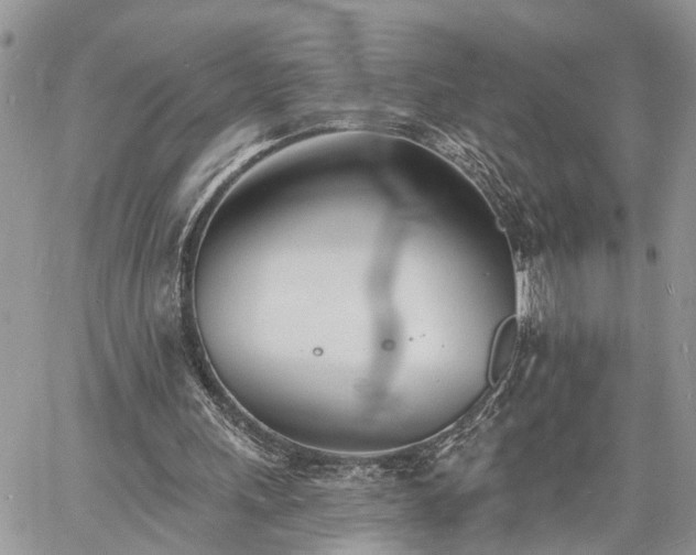 X0000060740243200511171104