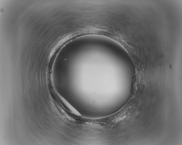 X0000060740244200511171104