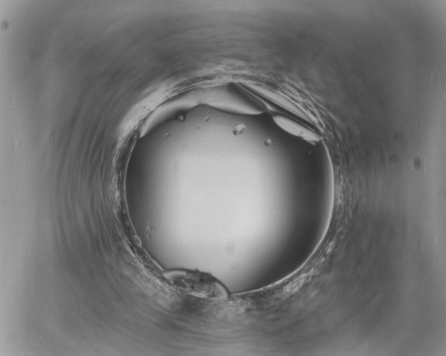 X0000060740245200511171104