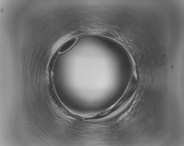 X0000060740246200511171104