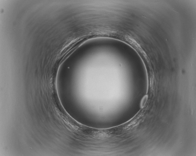 X0000060740249200511171104