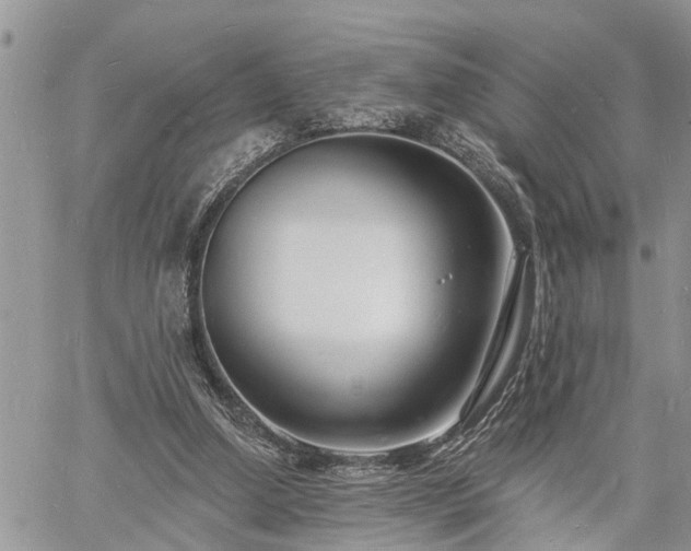 X0000060740250200511171104