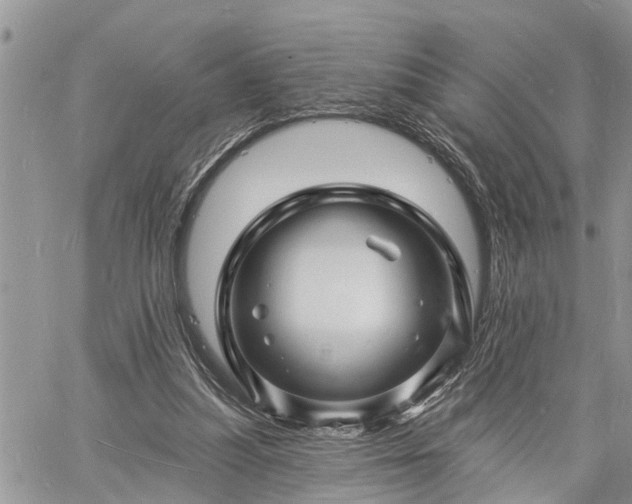 X0000060740251200511171104