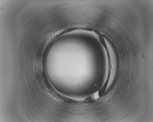 X0000060740252200511171104