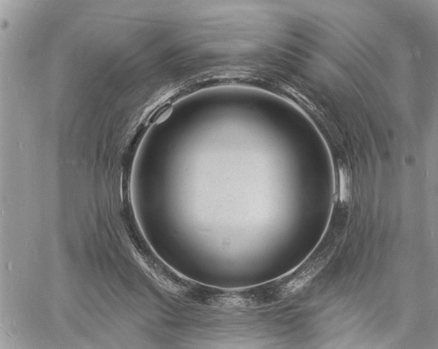 X0000060740253200511171104