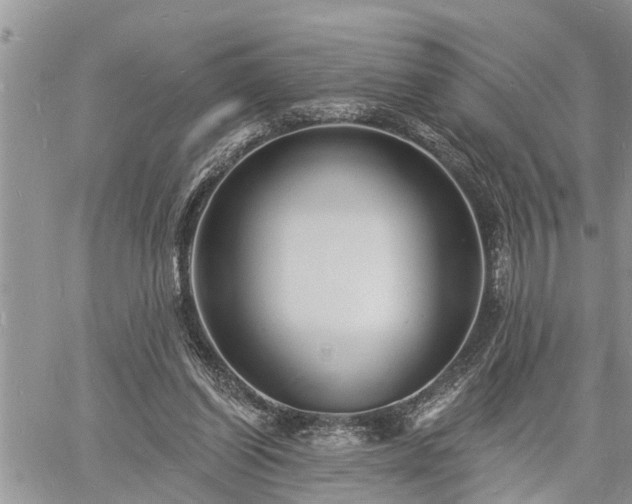 X0000060740254200511171104