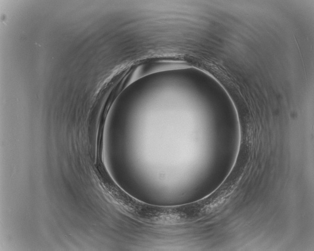 X0000060740256200511171104