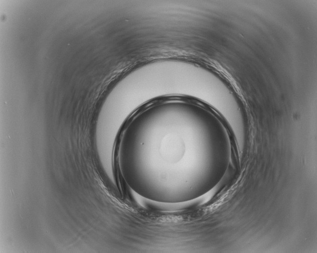 X0000060740257200511171104