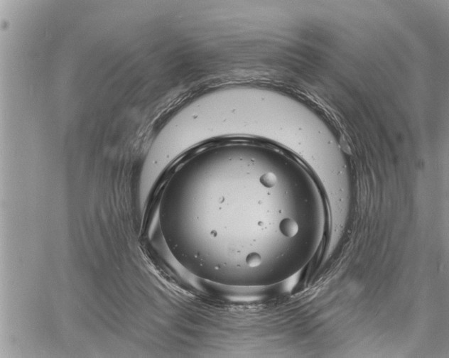 X0000060740261200511171104