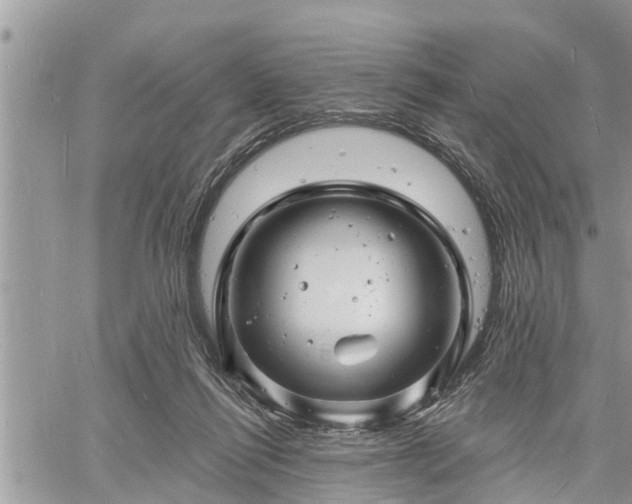 X0000060740262200511171104