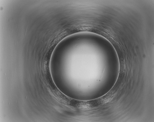 X0000060740263200511171104