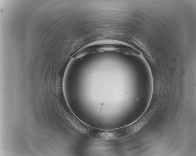 X0000060740265200511171104