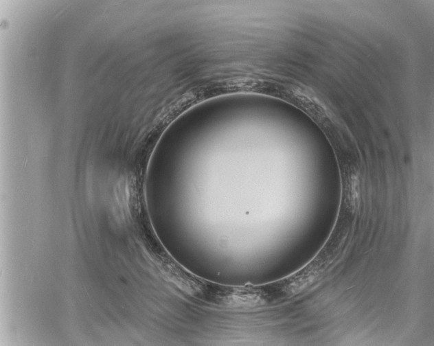 X0000060740270200511171105