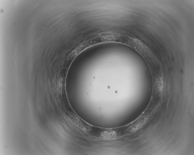 X0000060740271200511171105