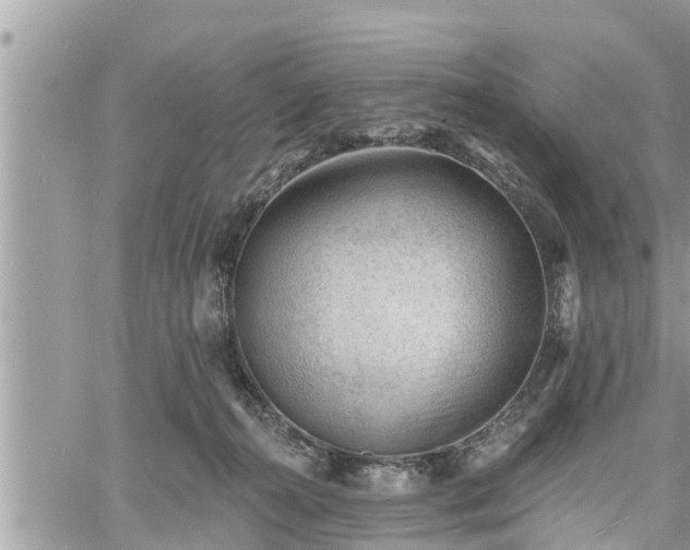 X0000060740272200511171105