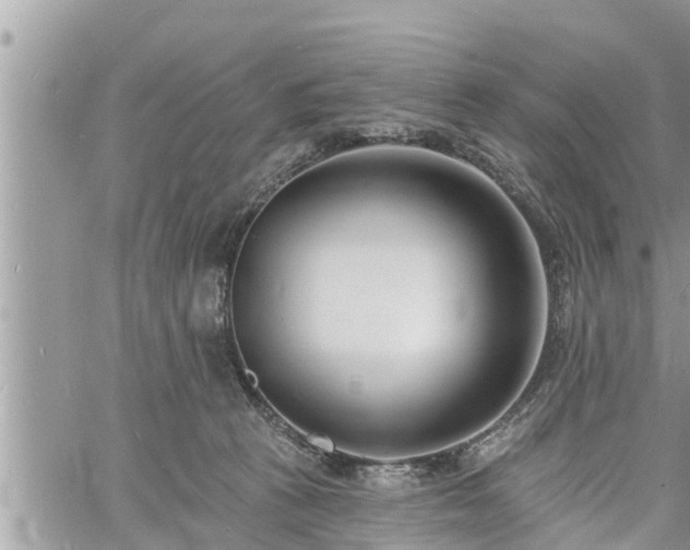 X0000060740273200511171105